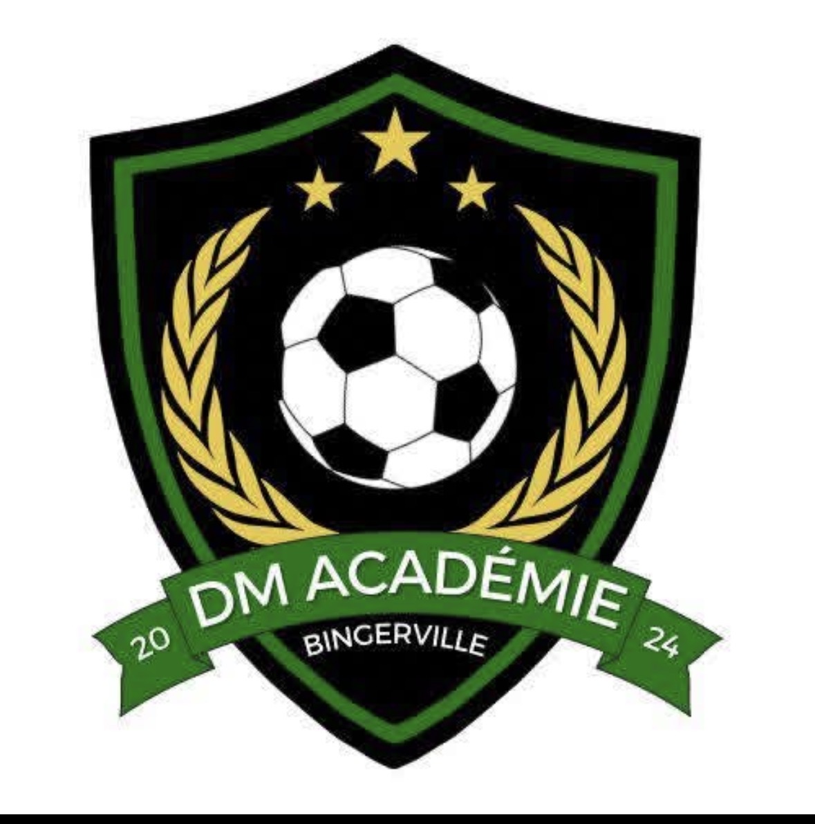 DM Academie